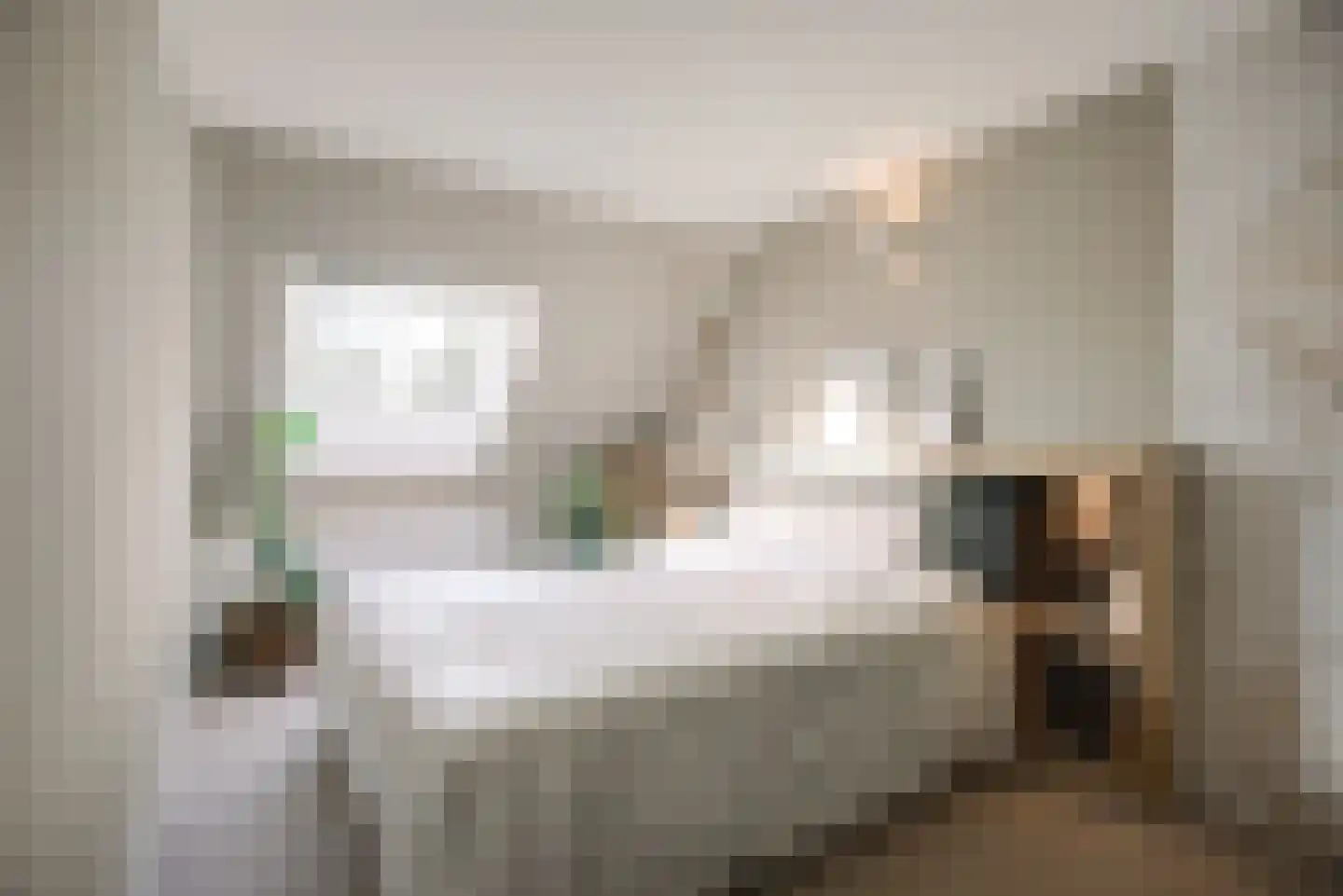 Duinmeierij 18 Leidschendam thumbnail 19