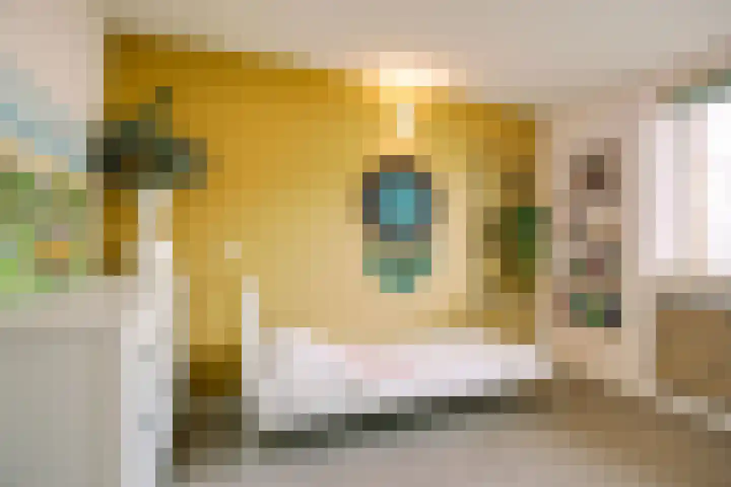 Duinmeierij 18 Leidschendam thumbnail 20