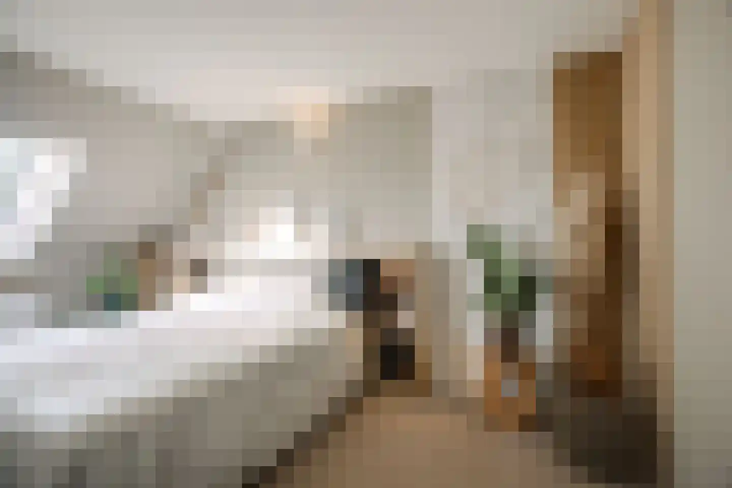 Duinmeierij 18 Leidschendam thumbnail 21