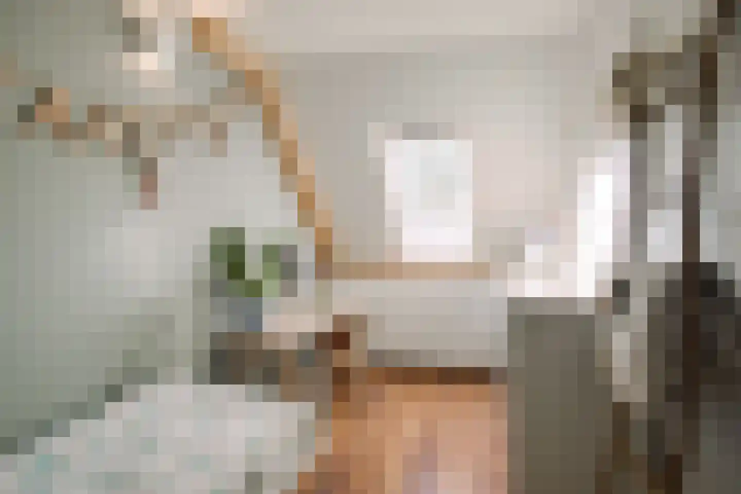 Duinmeierij 18 Leidschendam thumbnail 22