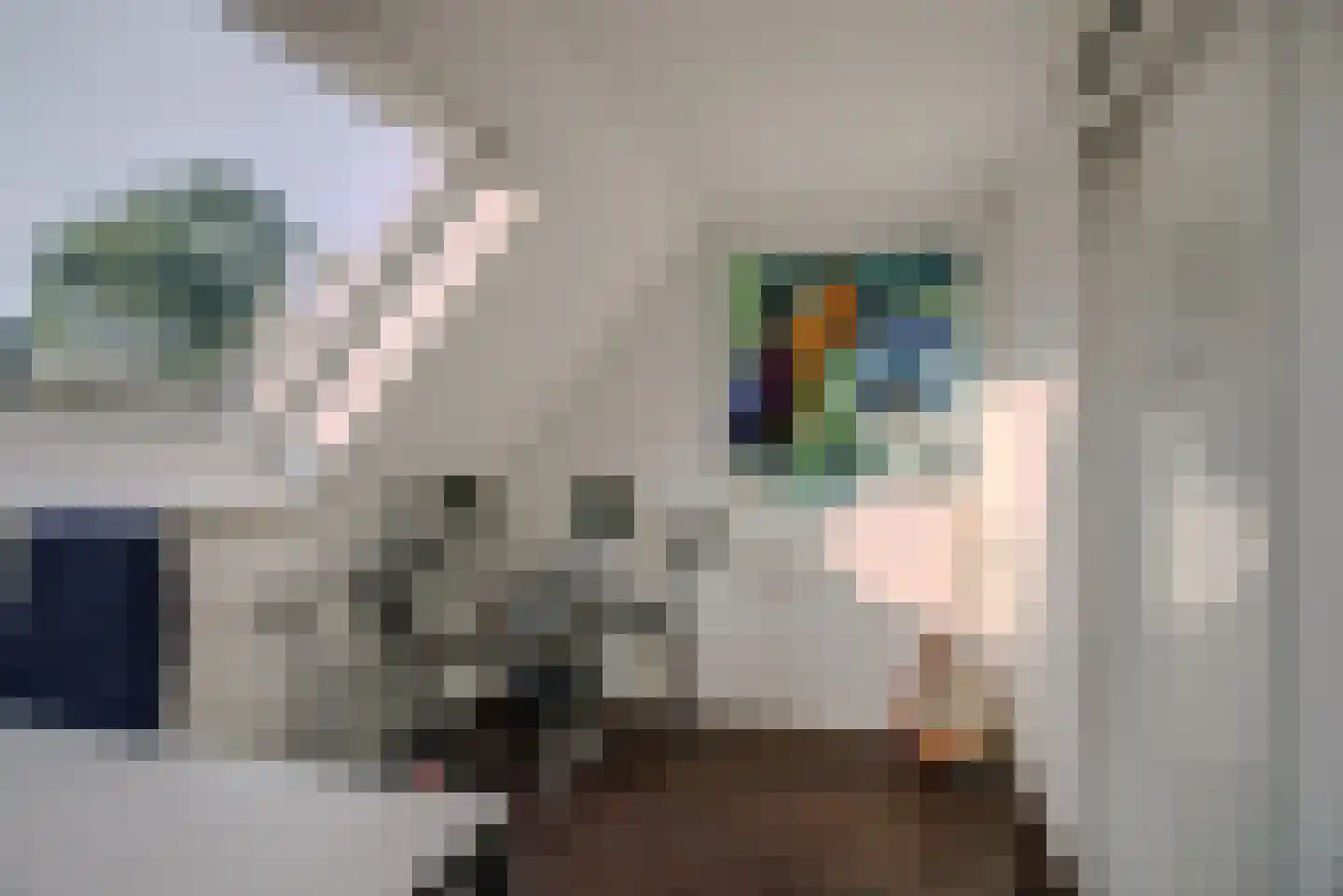 Duinmeierij 18 Leidschendam thumbnail 27