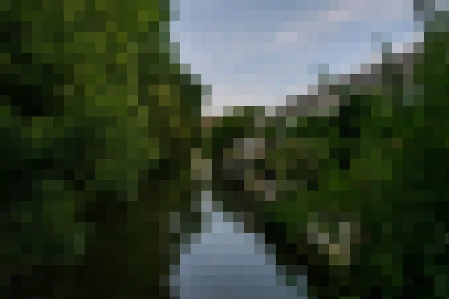 Duinmeierij 18 Leidschendam thumbnail 31