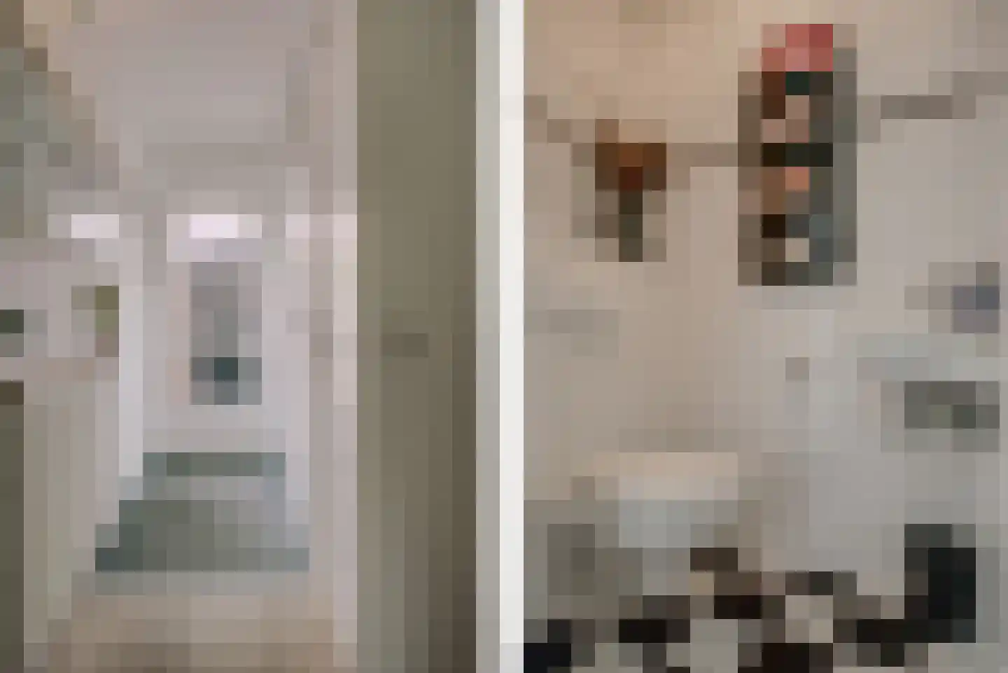 Duinmeierij 18 Leidschendam thumbnail 32
