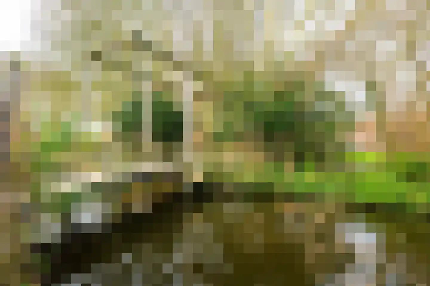 Duinmeierij 28 Leidschendam thumbnail 21