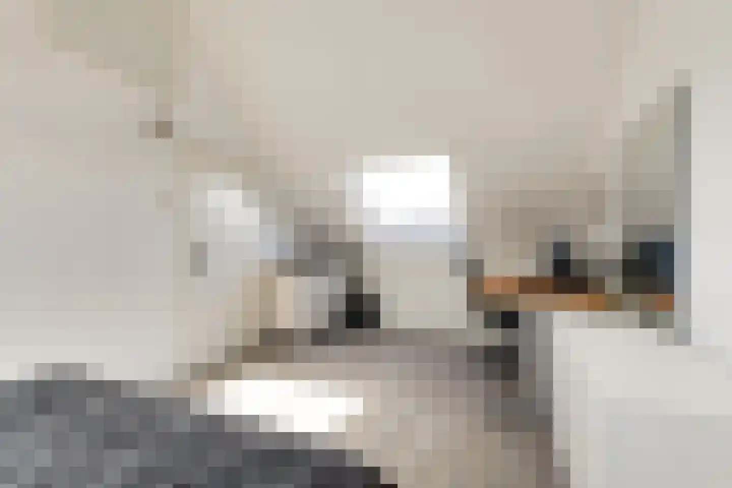 Duinmeierij 45 Leidschendam thumbnail 21