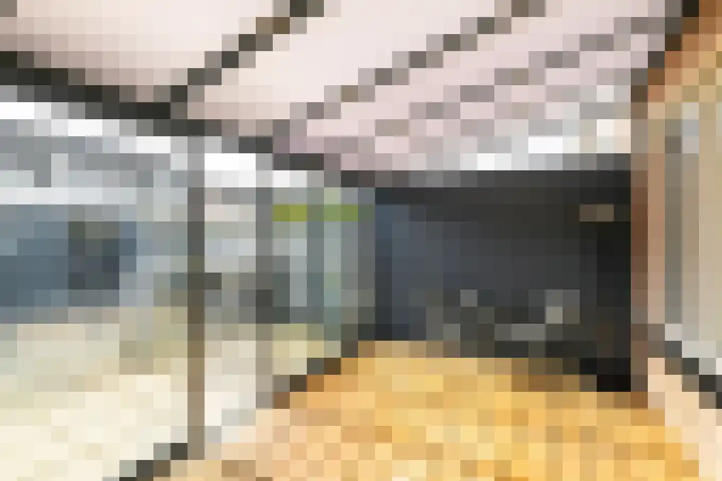 Duinmeierij 45 Leidschendam thumbnail 24