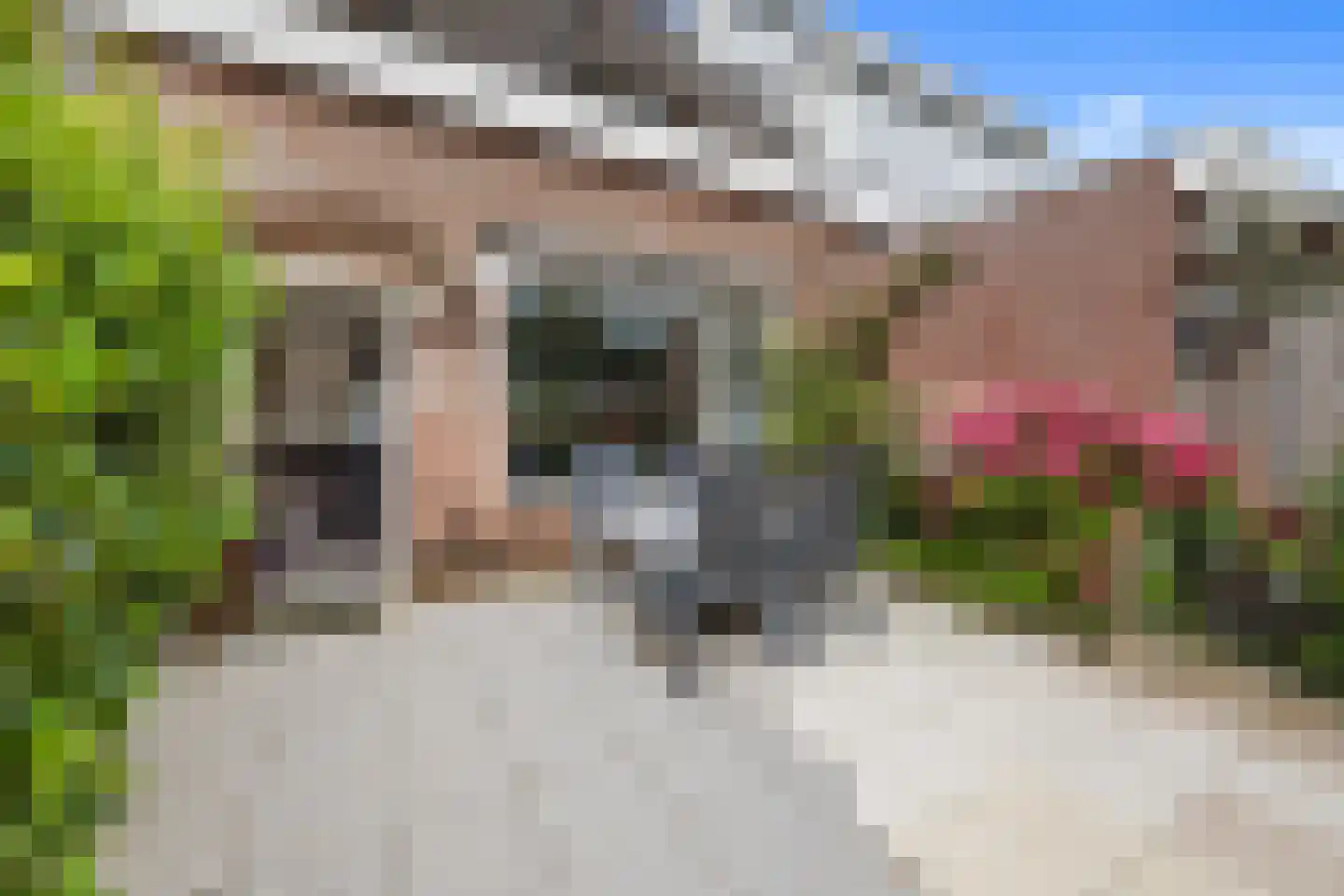Duinmeierij 75 Leidschendam thumbnail 10