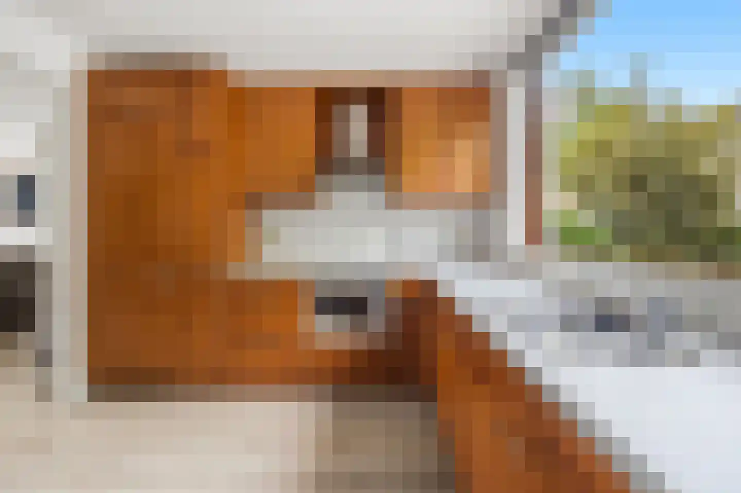Duinmeierij 75 Leidschendam thumbnail 13