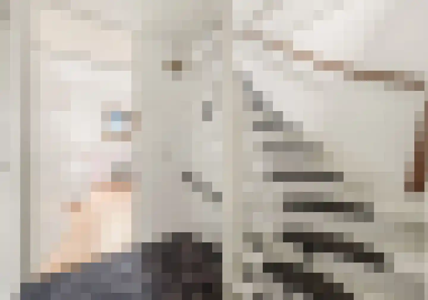 Duinmeierij 75 Leidschendam thumbnail 15