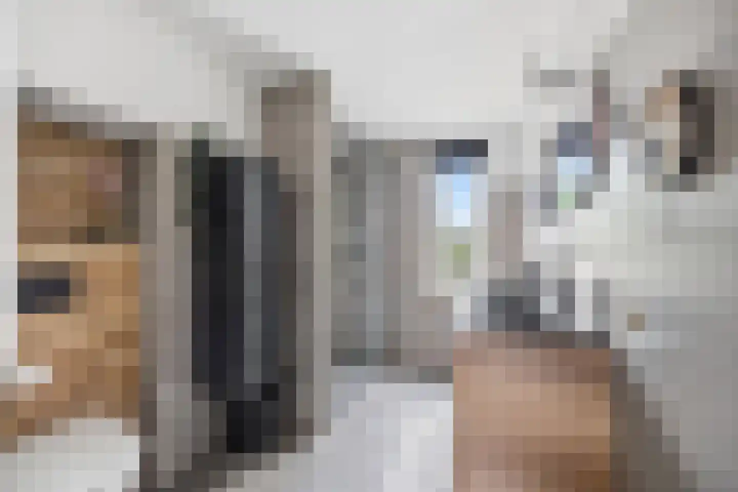 Duinmeierij 75 Leidschendam thumbnail 19