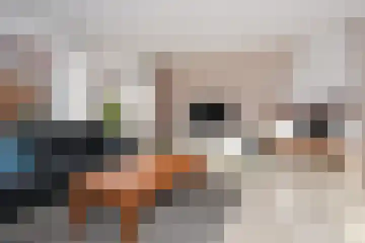 Duinmeierij 92 Leidschendam thumbnail 11