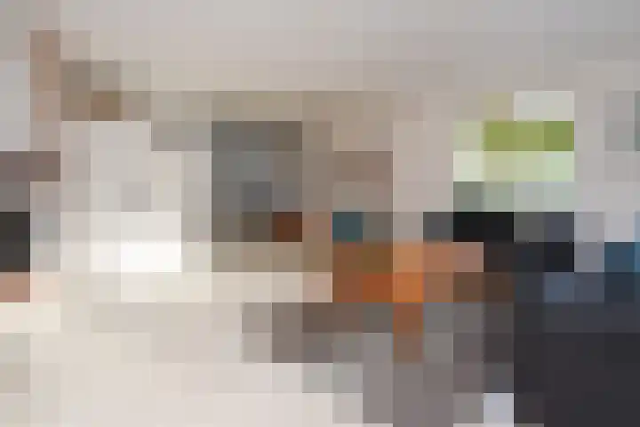 Duinmeierij 92 Leidschendam thumbnail 12
