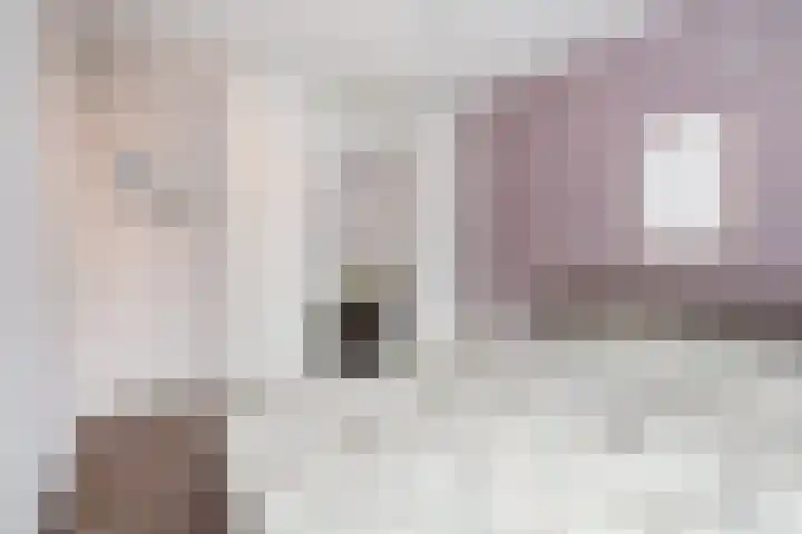 Duinmeierij 92 Leidschendam thumbnail 22
