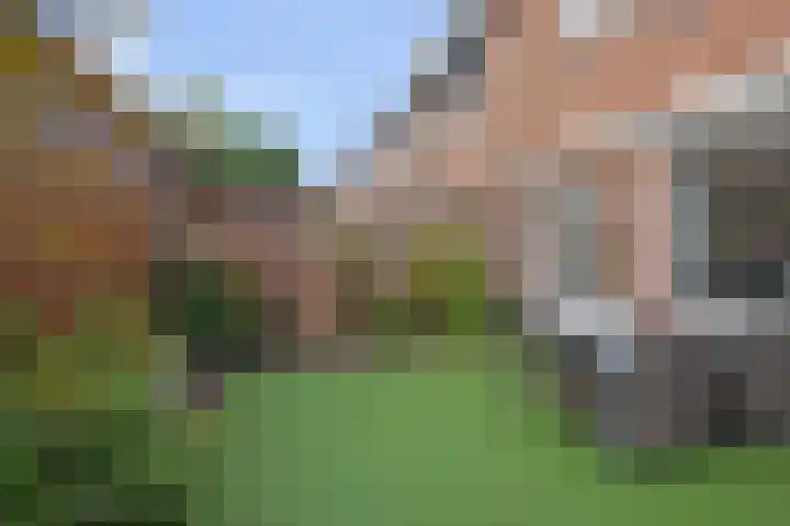 Duinmeierij 92 Leidschendam thumbnail 29