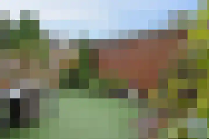 Duinmeierij 92 Leidschendam thumbnail 31