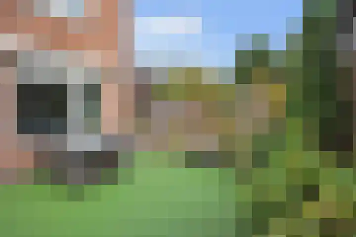 Duinmeierij 92 Leidschendam thumbnail 32