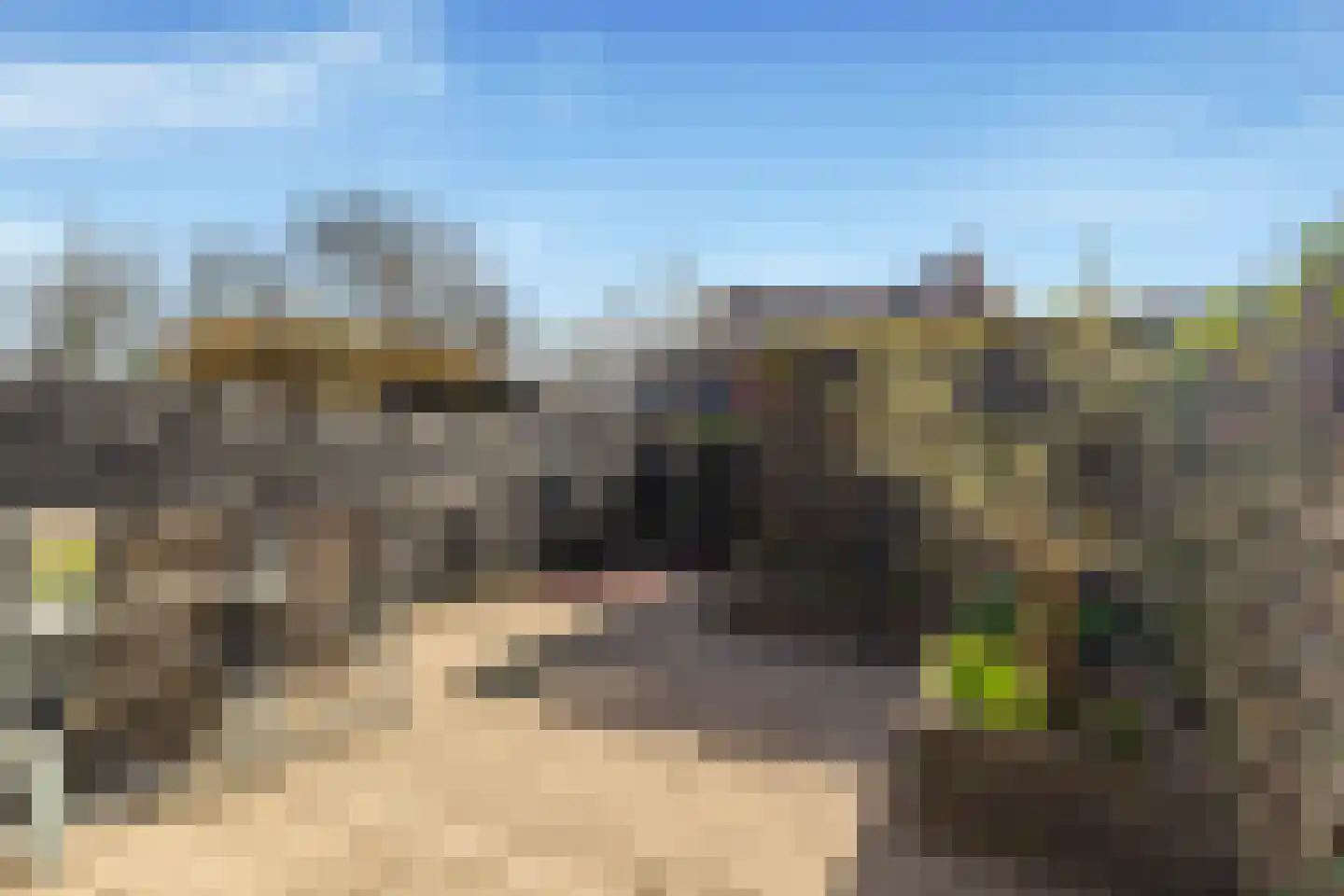 Duinmeiershof 10 Castricum thumbnail 4