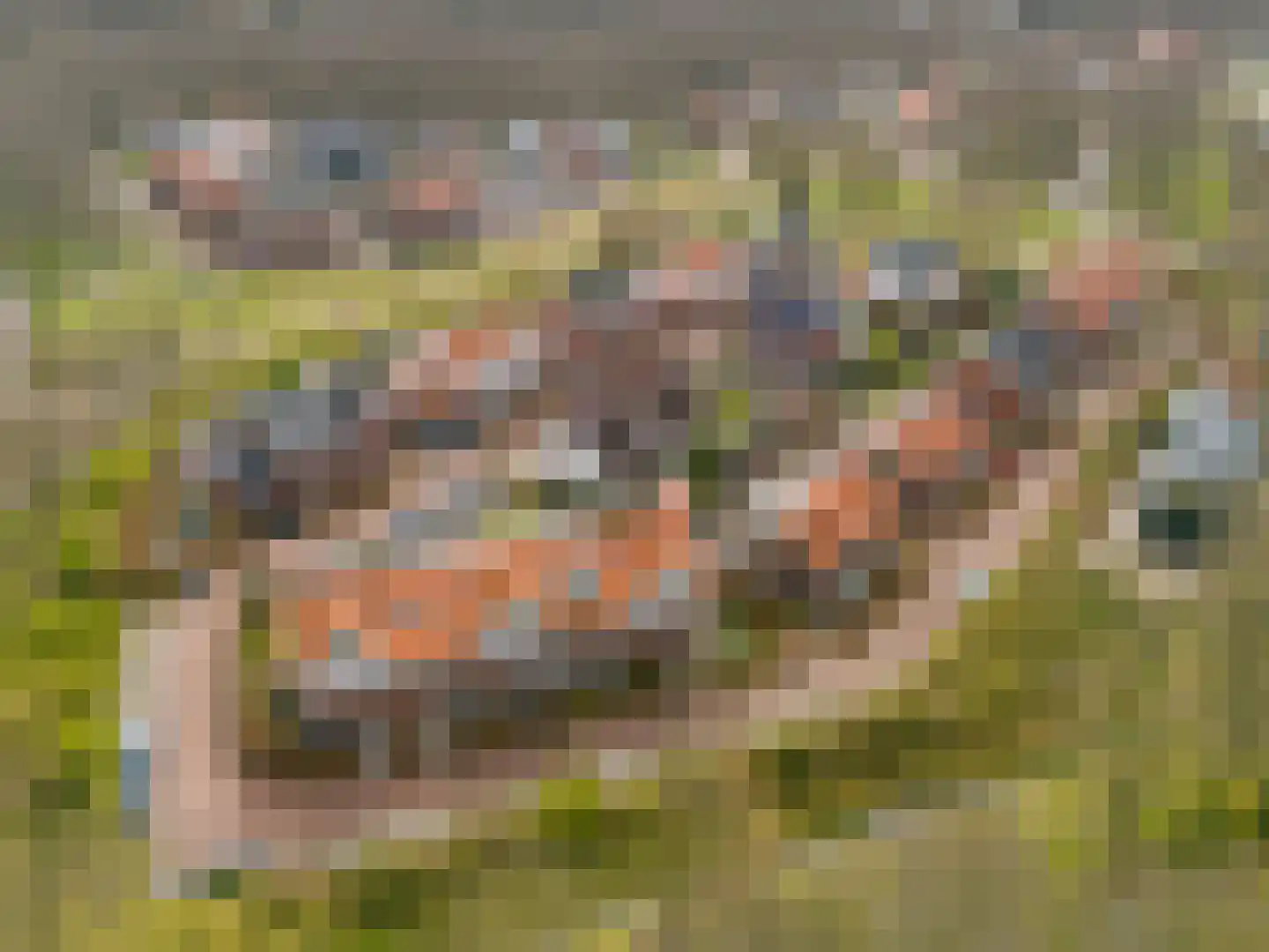 Duinmeiershof 10 Castricum thumbnail 48