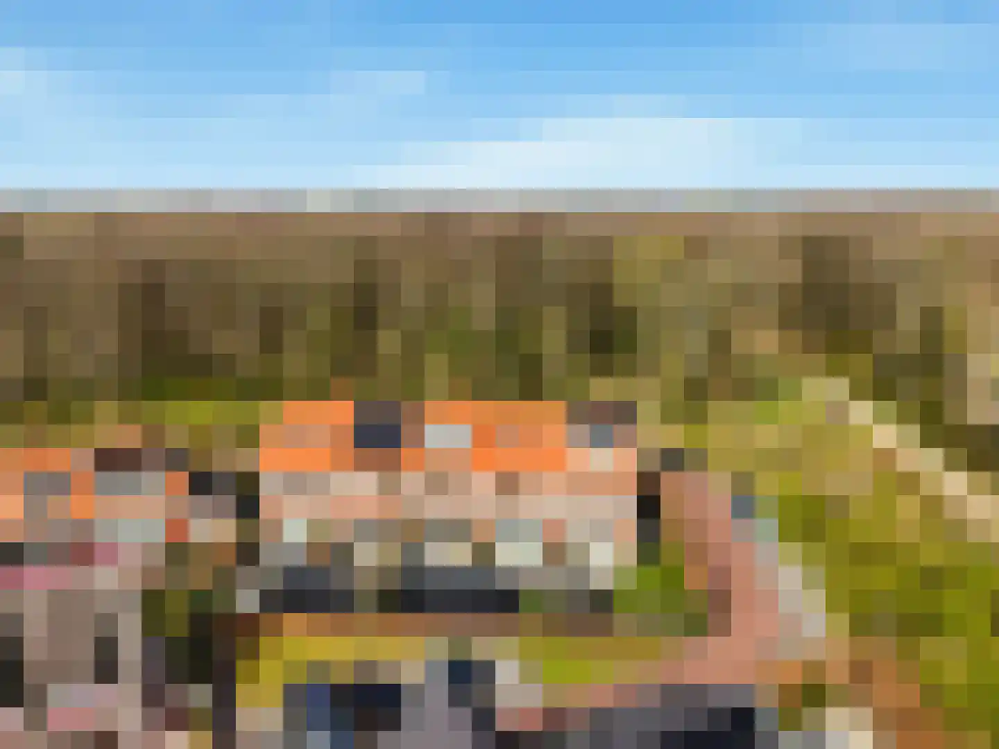 Duinmeiershof 10 Castricum thumbnail 50