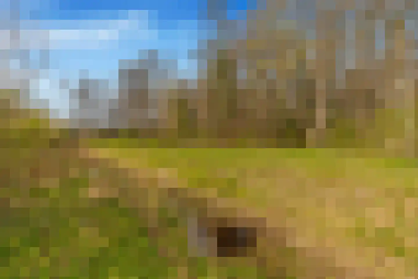 Duinmeiershof 10 Castricum thumbnail 55