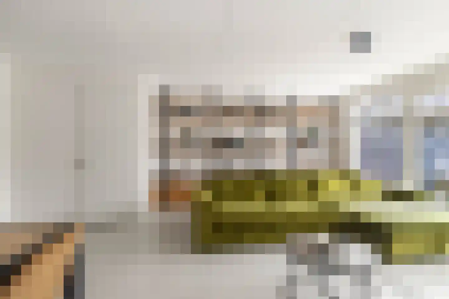 Duinmeiershof 10 Castricum thumbnail 8
