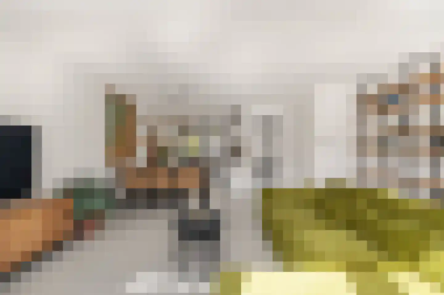 Duinmeiershof 10 Castricum thumbnail 9