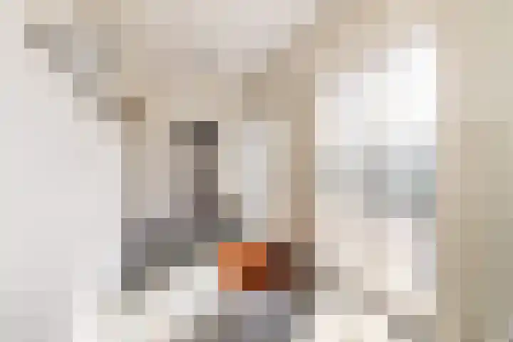 Duinoordseweg 16 Oostvoorne thumbnail 20