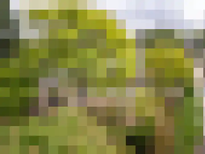 Duinoordseweg 16 Oostvoorne thumbnail 38