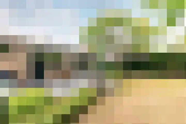 Duinoordseweg 16 Oostvoorne thumbnail 40