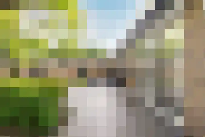 Duinoordseweg 16 Oostvoorne thumbnail 41