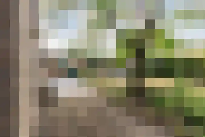 Duinoordseweg 16 Oostvoorne thumbnail 44