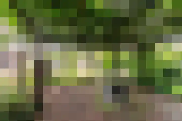 Duinoordseweg 16 Oostvoorne thumbnail 45