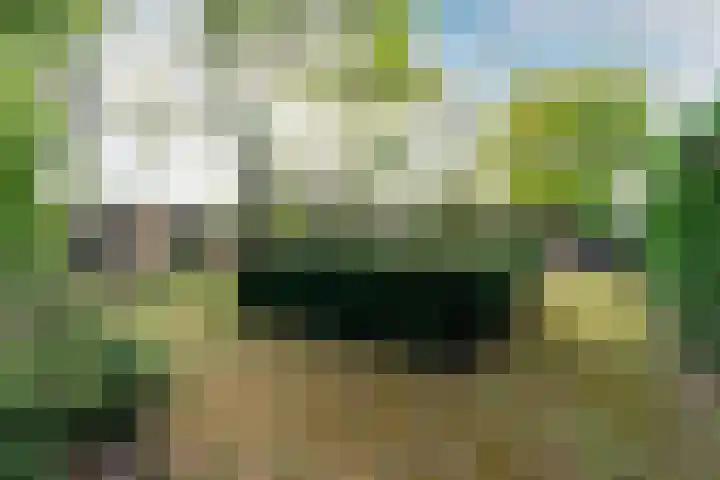 Duinoordseweg 16 Oostvoorne thumbnail 46