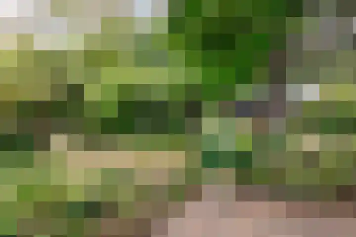 Duinoordseweg 16 Oostvoorne thumbnail 47
