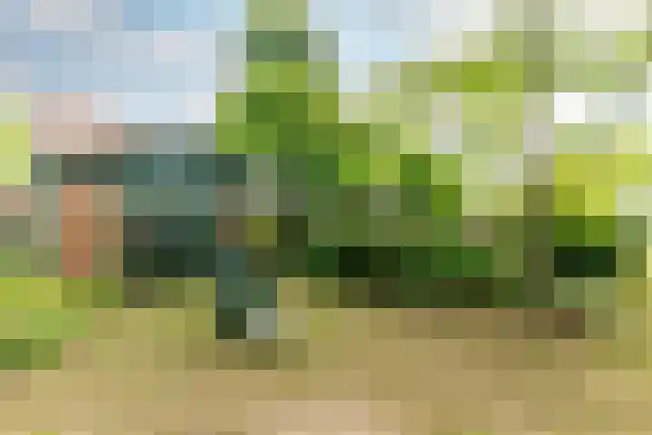 Duinoordseweg 16 Oostvoorne thumbnail 48