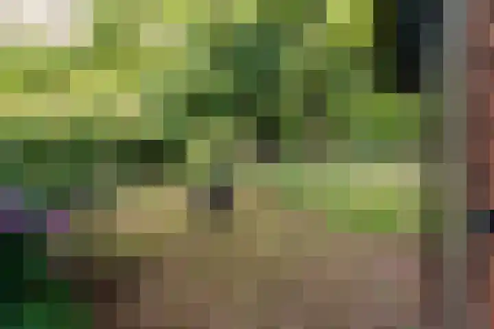 Duinoordseweg 16 Oostvoorne thumbnail 52