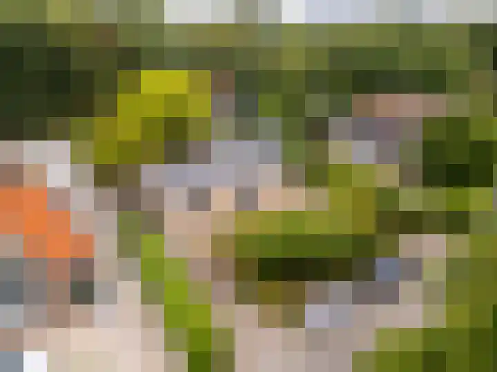 Duinoordseweg 16 Oostvoorne thumbnail 58