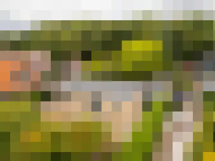 Duinoordseweg 16 Oostvoorne thumbnail 6