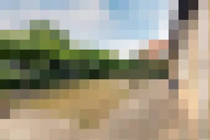Duinoordseweg 16 Oostvoorne thumbnail 8