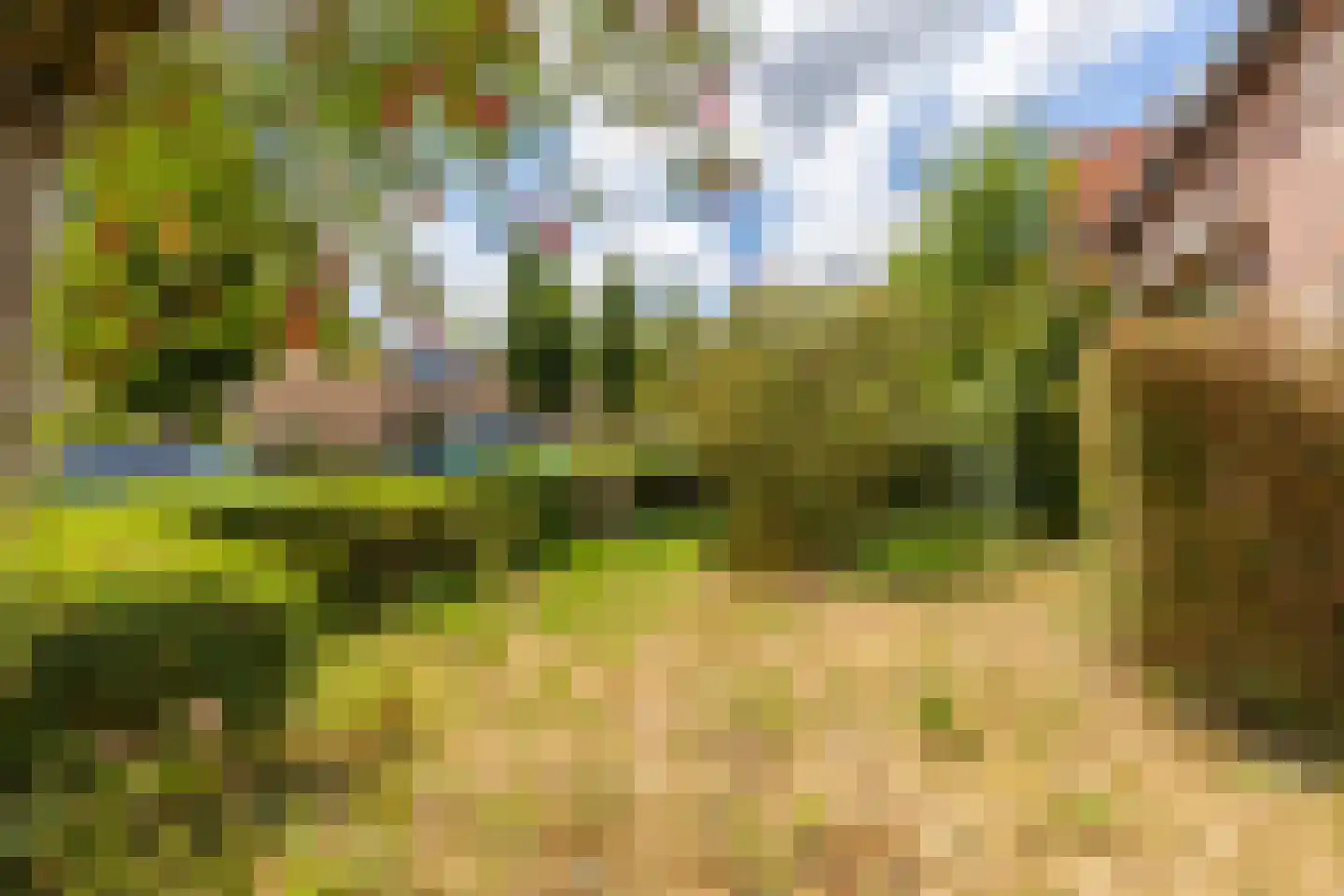 Duinoordseweg 22 Oostvoorne thumbnail 17
