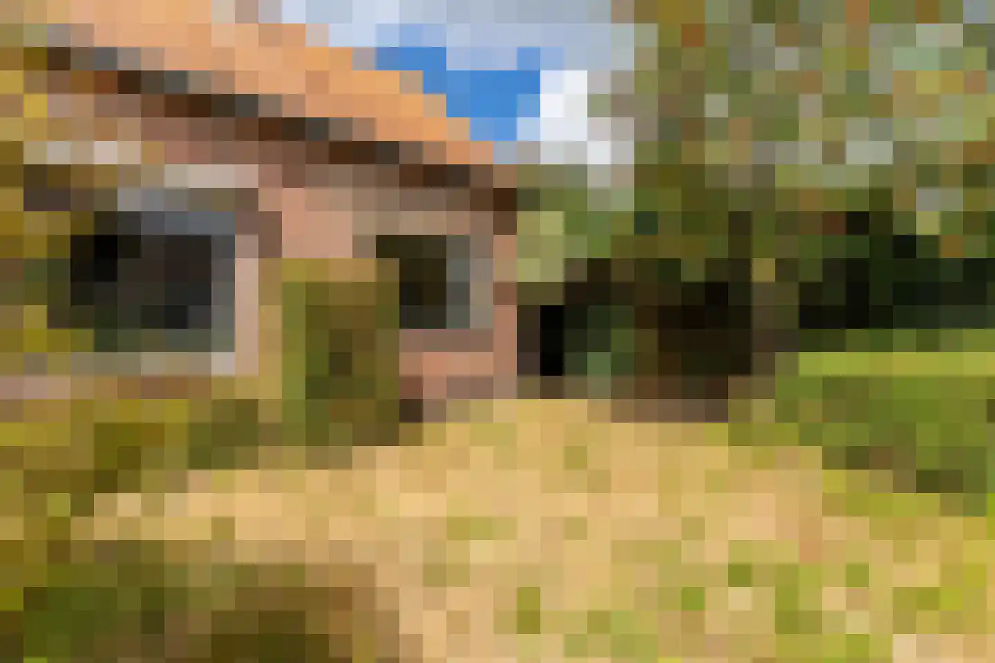 Duinoordseweg 22 Oostvoorne thumbnail 18