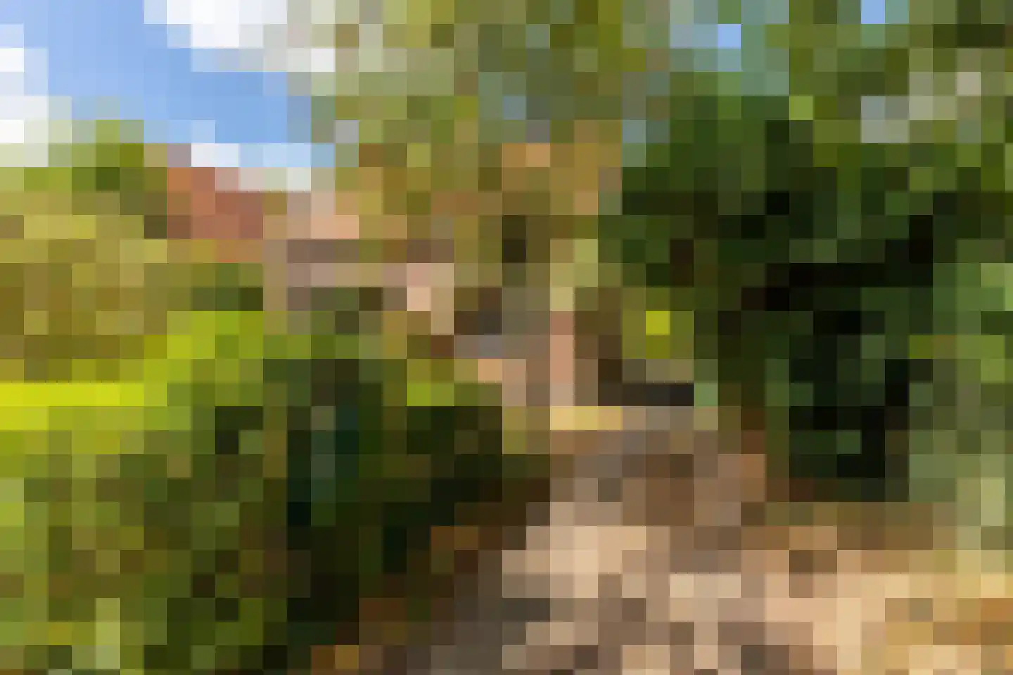 Duinoordseweg 22 Oostvoorne thumbnail 19