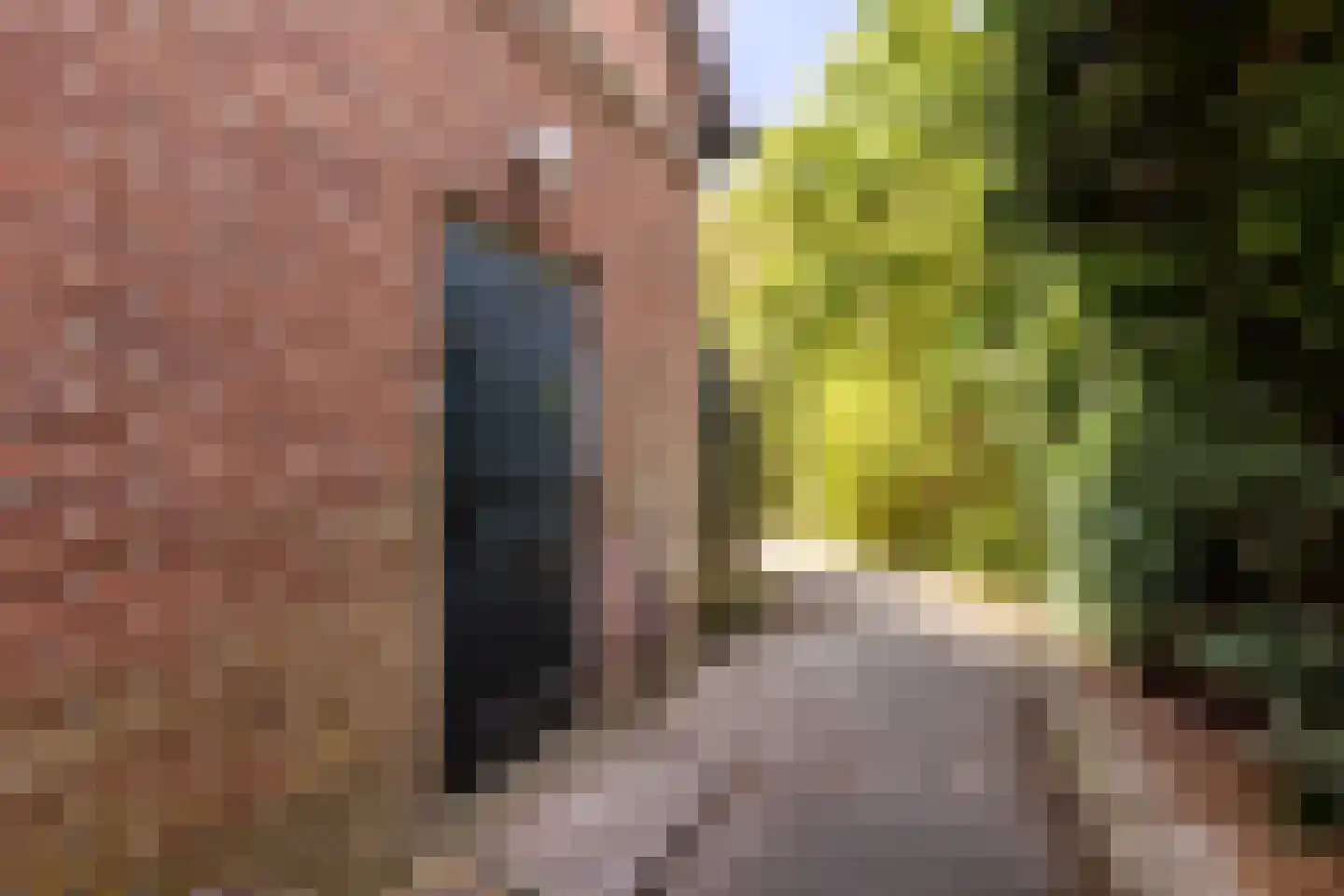 Duinoordseweg 22 Oostvoorne thumbnail 20