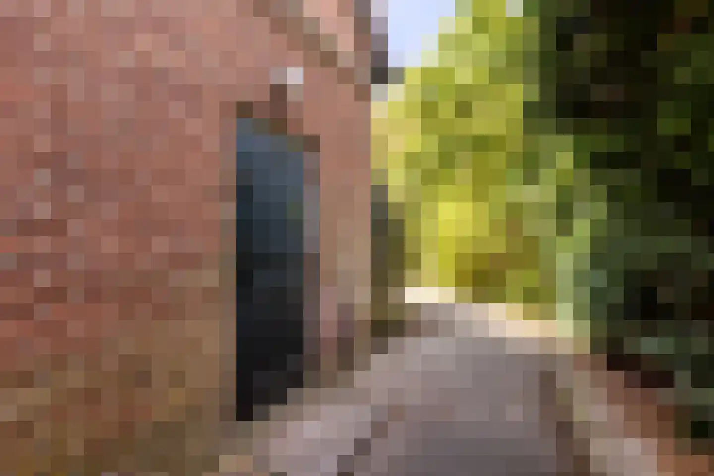 Duinoordseweg 22 Oostvoorne thumbnail 20