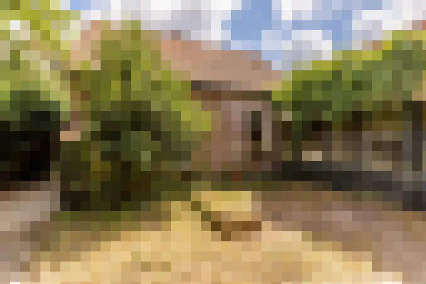 Duinoordseweg 22 Oostvoorne thumbnail 22