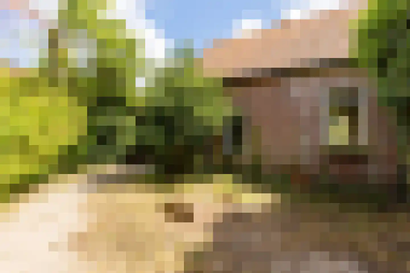 Duinoordseweg 22 Oostvoorne thumbnail 23