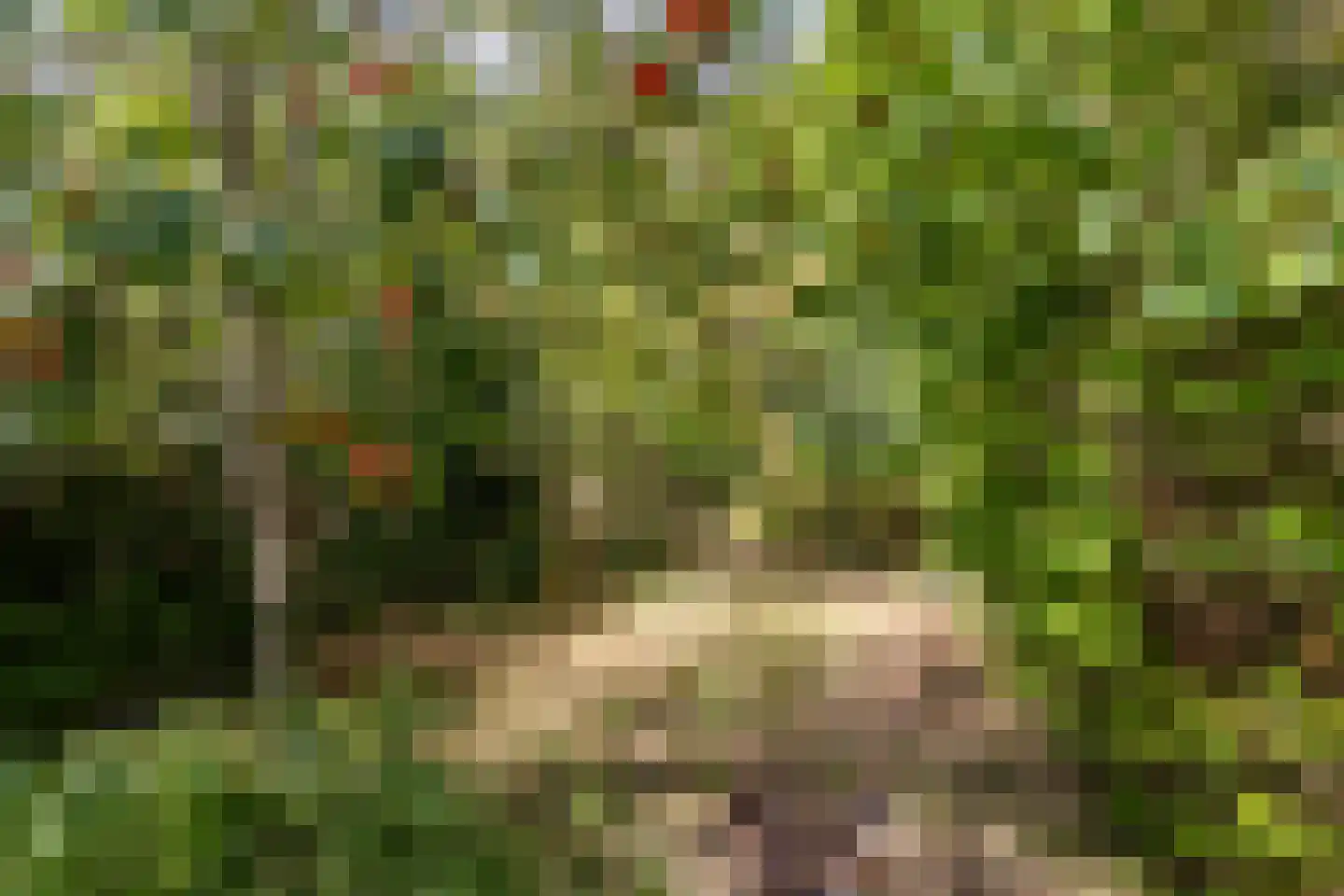 Duinoordseweg 22 Oostvoorne thumbnail 24
