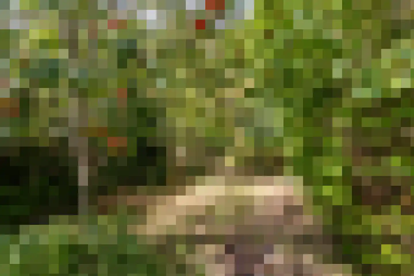 Duinoordseweg 22 Oostvoorne thumbnail 24