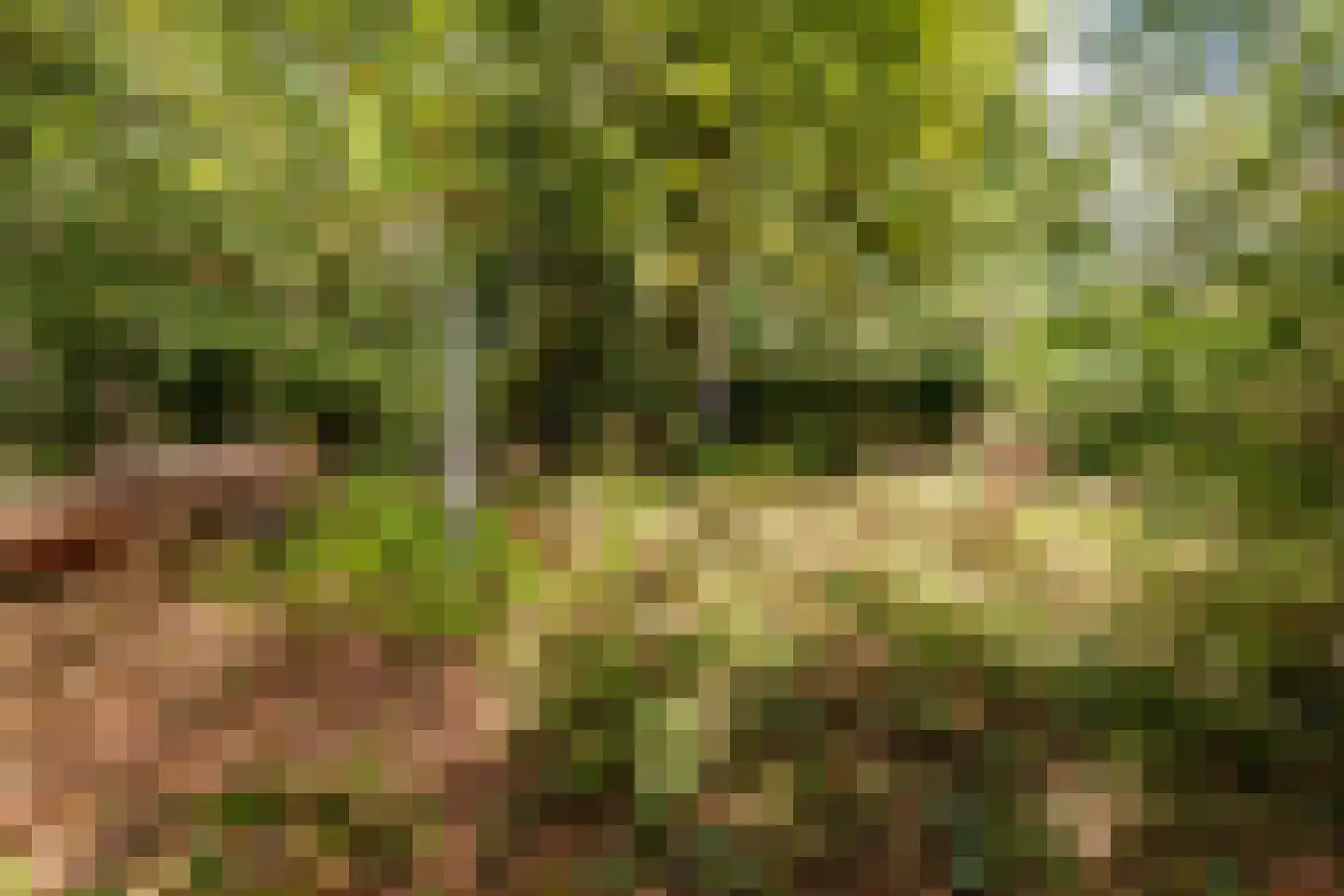 Duinoordseweg 22 Oostvoorne thumbnail 25