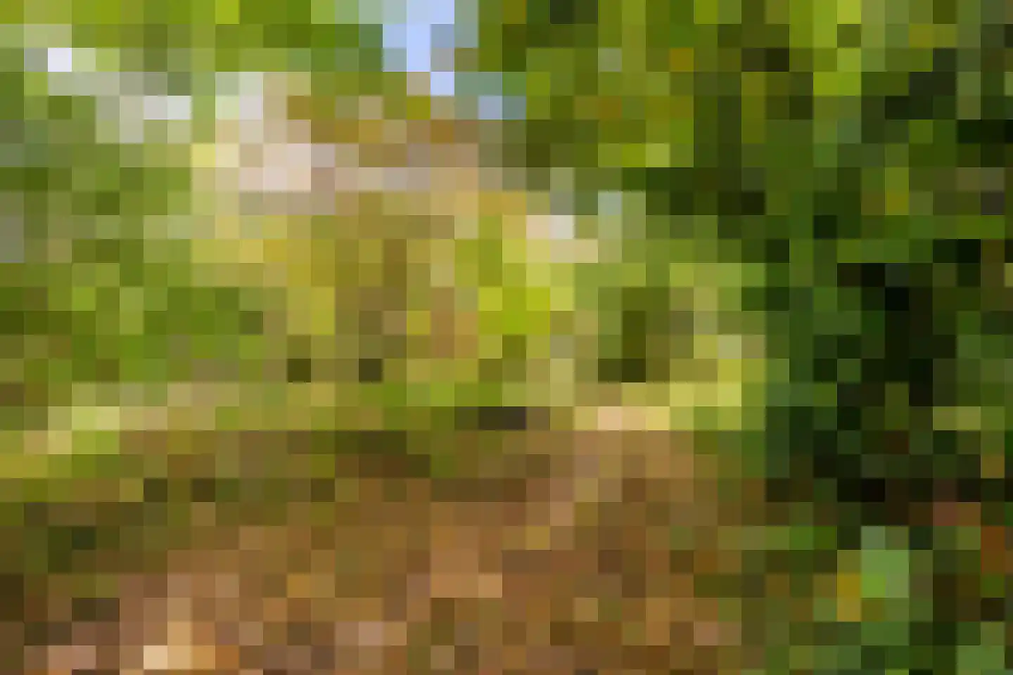 Duinoordseweg 22 Oostvoorne thumbnail 26